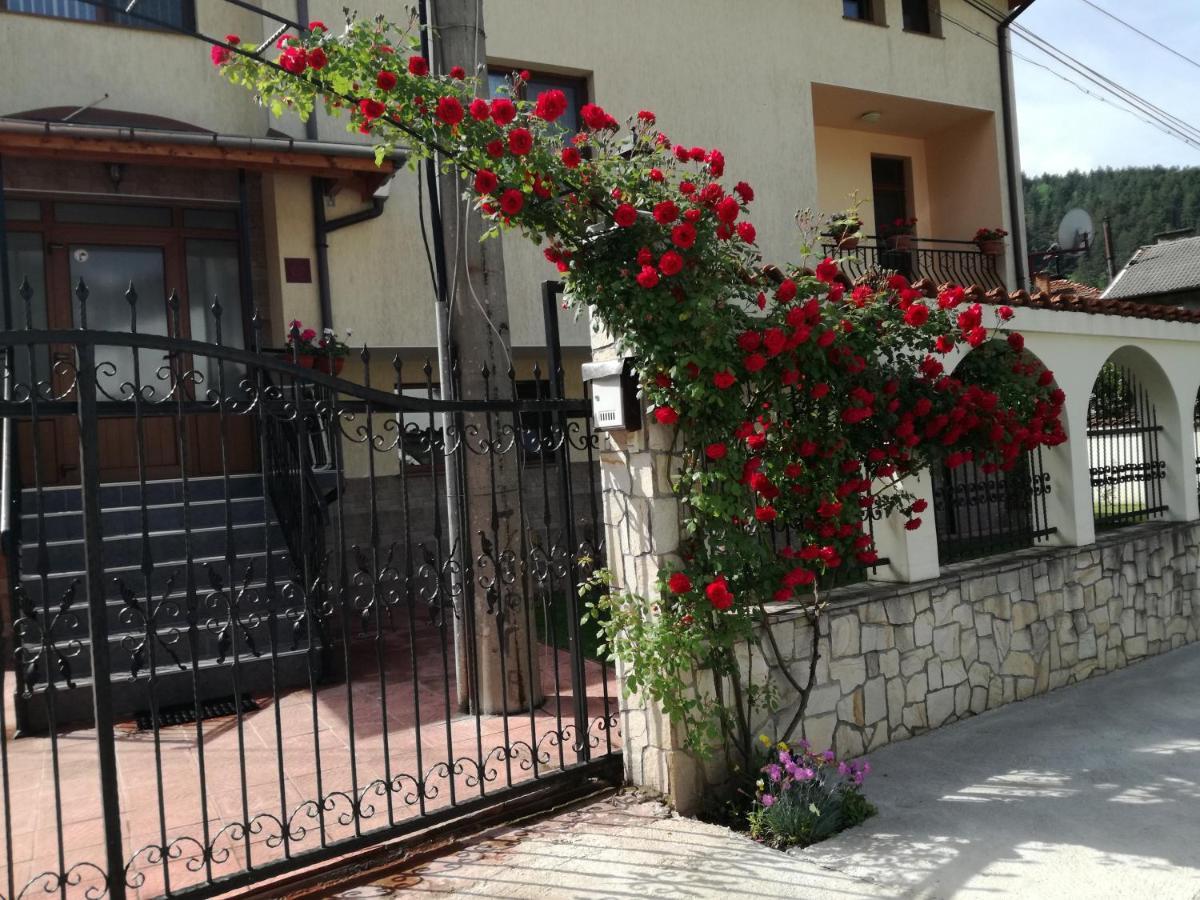 Guest House Benita 代温 外观 照片