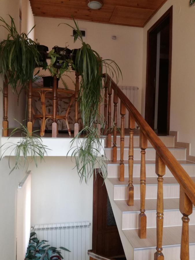 Guest House Benita 代温 外观 照片
