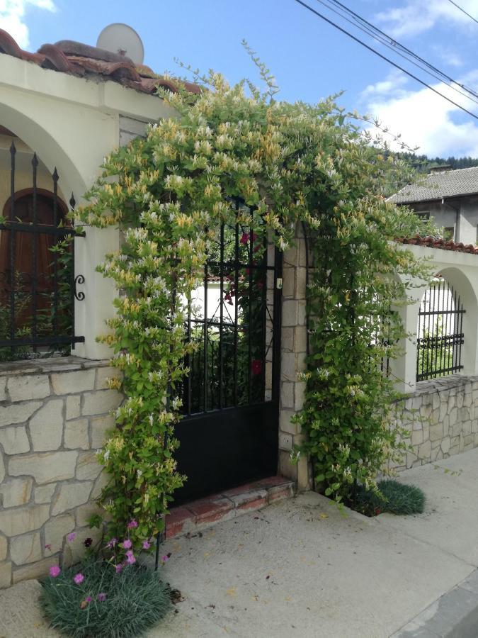 Guest House Benita 代温 外观 照片