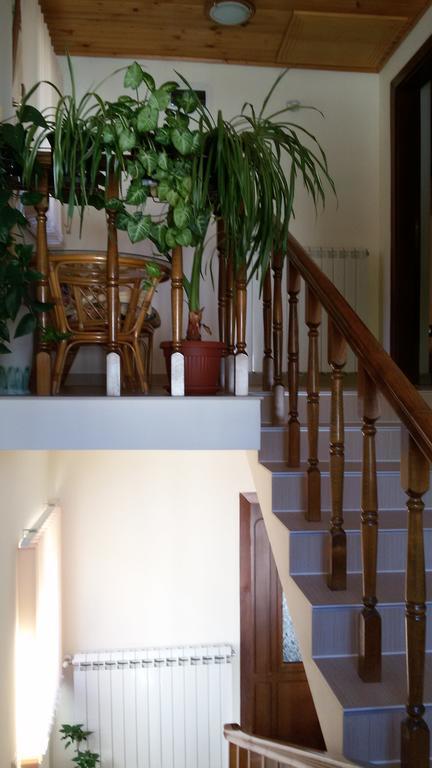 Guest House Benita 代温 外观 照片